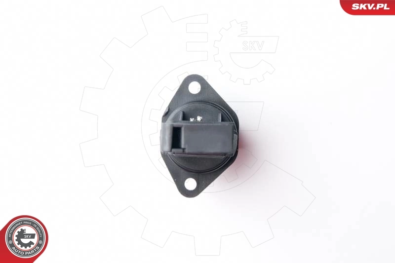 Mass Air Flow Sensor